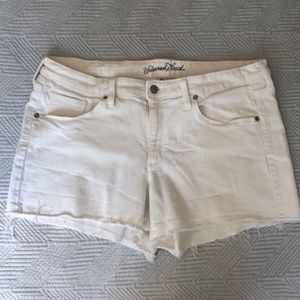 White jean shorts size 14